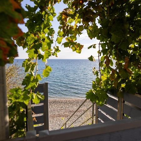 Ammoudeli Apartments Plomári Kültér fotó